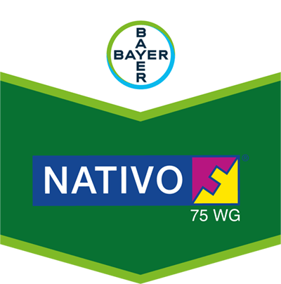 Nativo® 75 WG