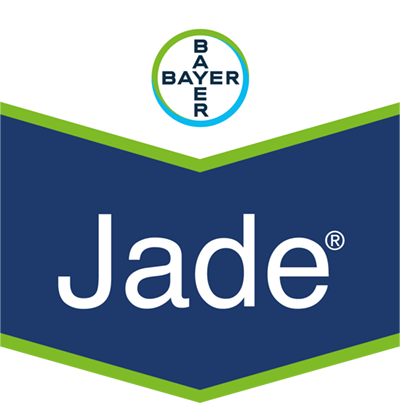 Jade® 0,8 GR