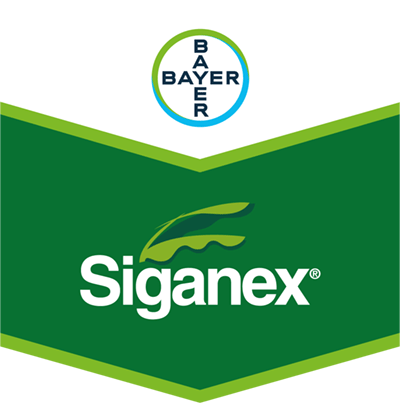 Siganex® 60 SC