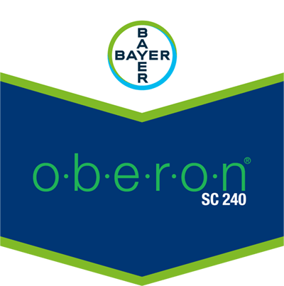 Oberon® SC 240
